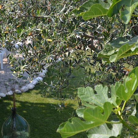 Giardinotto Casa Vacanze Altino  Zewnętrze zdjęcie