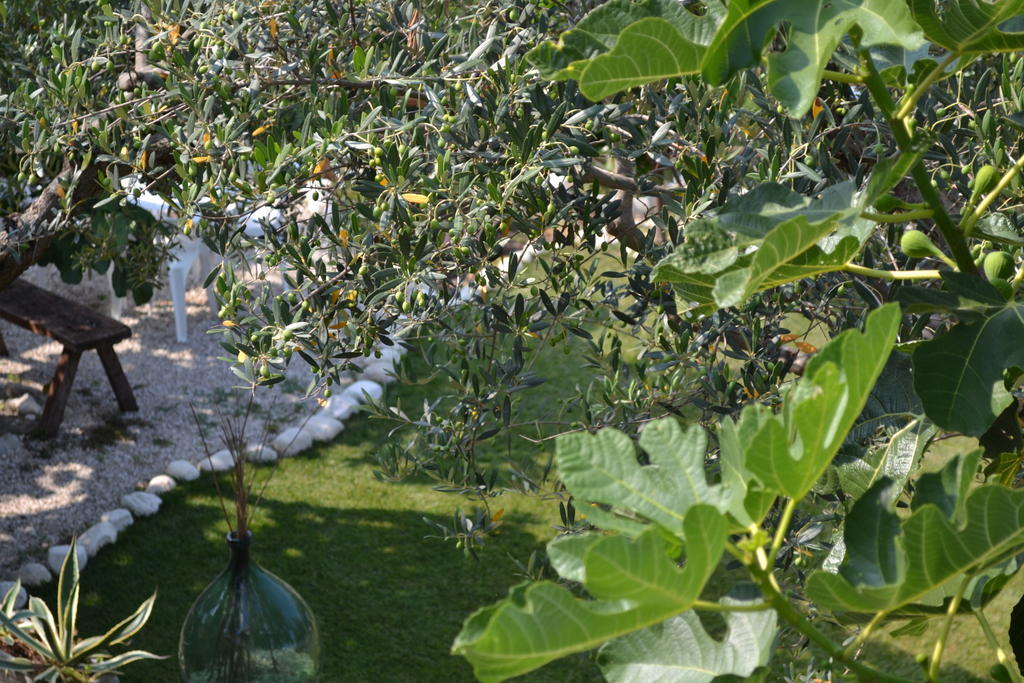 Giardinotto Casa Vacanze Altino  Zewnętrze zdjęcie